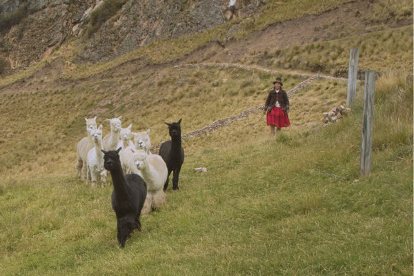 Galería El Quintal del Inca 1